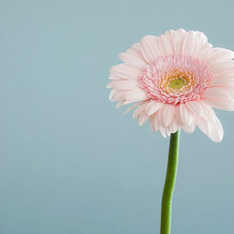 blog-6